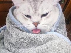 -美联众合动物医院·24h转诊中心