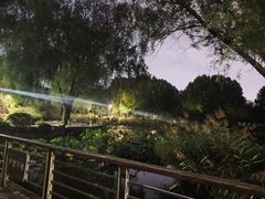 -郑州植物园