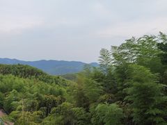 -江南天池