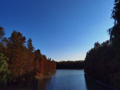 -上海海湾国家森林公园