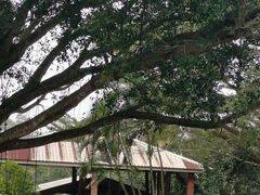 -侯臣咖啡文化村