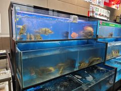 -盒马鲜生(王府广场店)