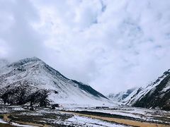 -扁都口生态休闲旅游区