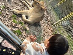 -上海野生动物园