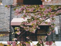 -绿地·中山里