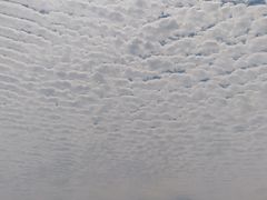 -飞来湖湿地公园