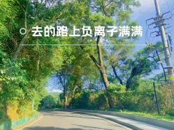 -致友月子会所(麓湖店)