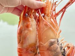 -水岸居湖景农家乐·阳澄湖大闸蟹