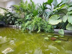 -漫笙舍Manse·咖啡·民宿