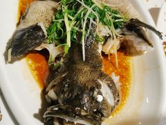 -强记海鲜·大排档(蛇口新街店)