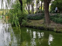 -杭州城北体育公园