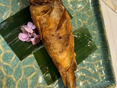 -鸢飞潍坊菜馆(鸢飞大酒店)