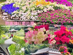 -广州市白云山风景名胜区