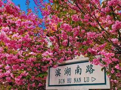 -石家庄市植物园