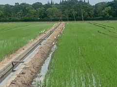 -嘉北郊野公园