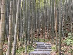 -金子山原生态旅游风景区