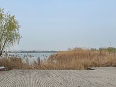 -九里湖国家湿地公园
