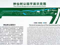 -神仙树公园