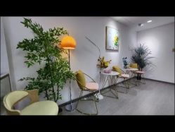 -变美丽半永久纹眉连锁·机器野生眉·洗眉