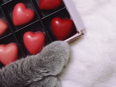 -Pierre Marcolini(德基广场店)