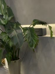 -老肖男士理发店