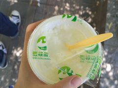 -德禄酸奶(莫家街店)