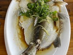 西沙和顺鱼-八仔大富楼·河鲜(西江店)