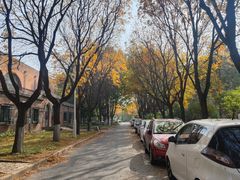 -清华大学-清芬园