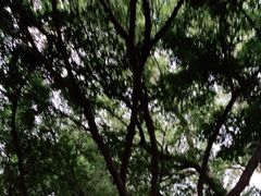 -聂记粤菜馆(鼓西路店)