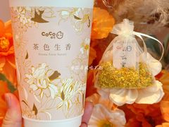-CoCo都可(崇川万象城店)