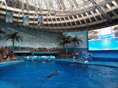 -海合安成都极地海洋公园