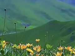 -新疆那拉提国家旅游度假区