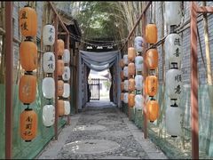 -龙潭水乡