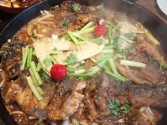 -老板恋上鱼(印象城店)