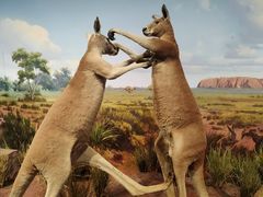 -陕西自然博物馆