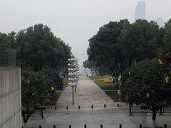 -重庆市江北嘴中央商务区中央公园