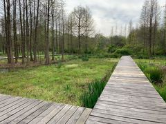 -溱湖国家湿地公园