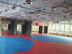 -陈中跆拳道(中关村馆)