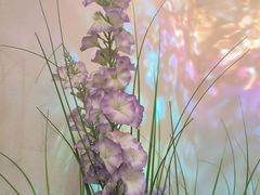 -万达广场(万州店)