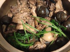 田螺鸡煲-食爺炭炉鸡煲·烧烤