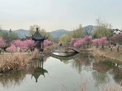 -石塘人家