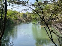 -白马涧龙池景区