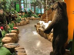 -济州岛泰迪熊博物馆