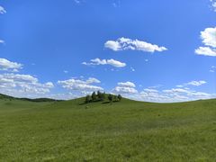 -塞罕坝国家级自然保护区