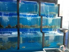 水产区-老东镇啤酒屋海鲜加工·蒸汽海鲜·海鲜烧烤(台东店)