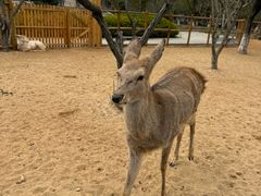 -茅山东方盐湖城景区