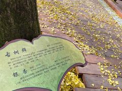 -径山寺