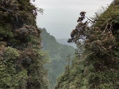 -峨眉山风景名胜区