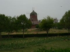 android_upload_pic-洛阳郁金香牡丹园