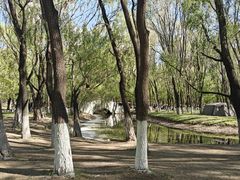 -长白岛森林公园